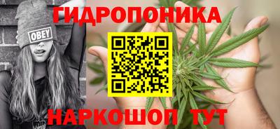 PSILOCYBIN Уссурийск