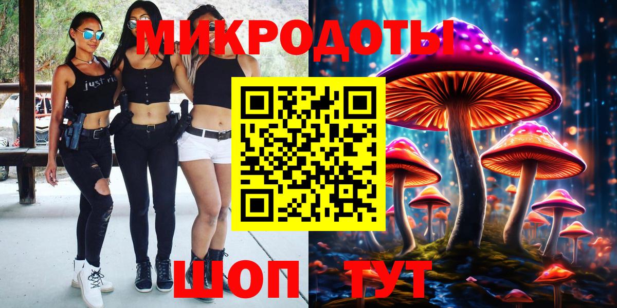 Псилоцибиновые грибы Psilocybine cubensis Брянск