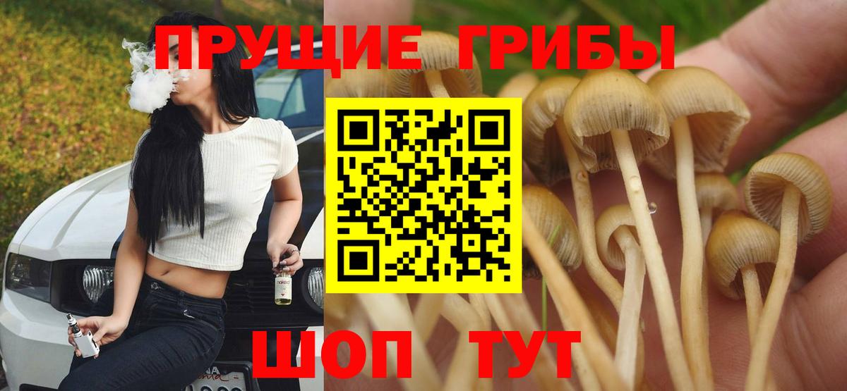 Галлюциногенные грибы GOLDEN TEACHER  цены   Вход с VPN  Брянск  Галлюциногенные грибы GOLDEN TEACHER 